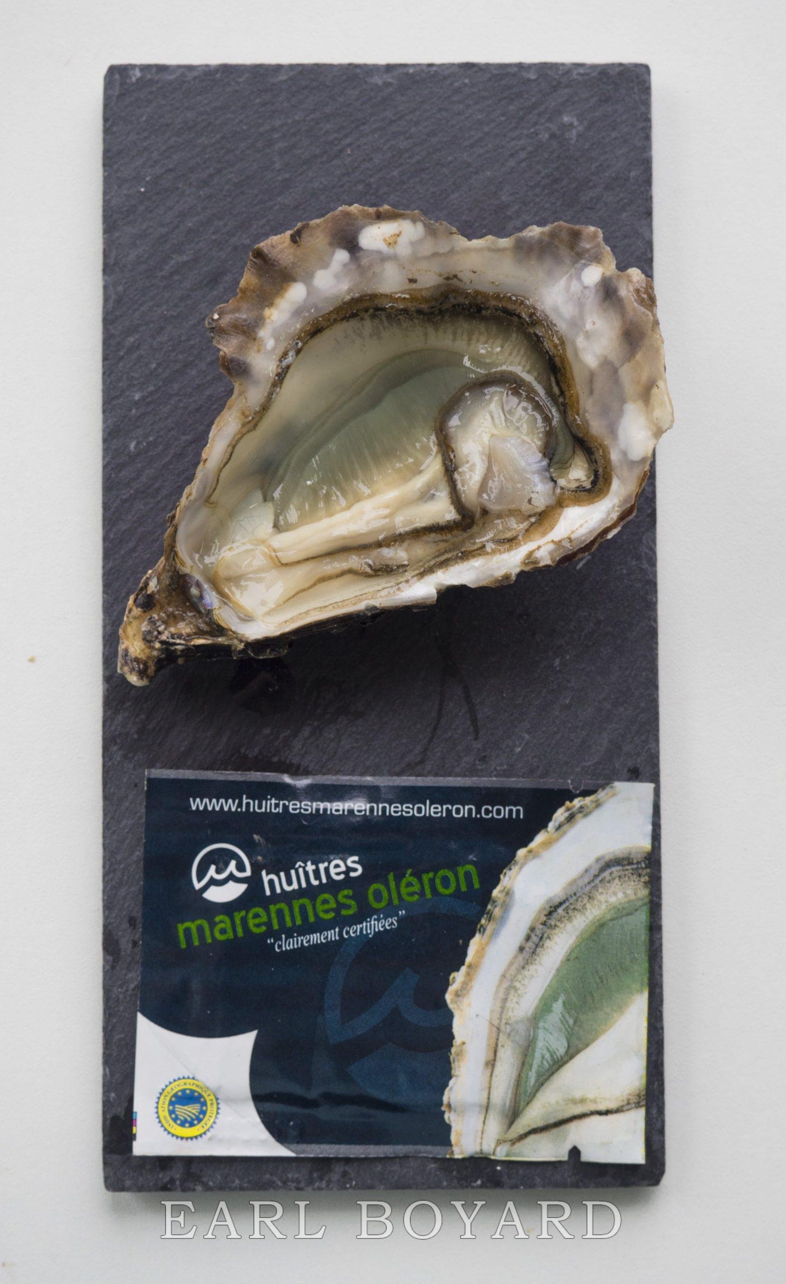 Fines de claires vertes label rouge – Image 4