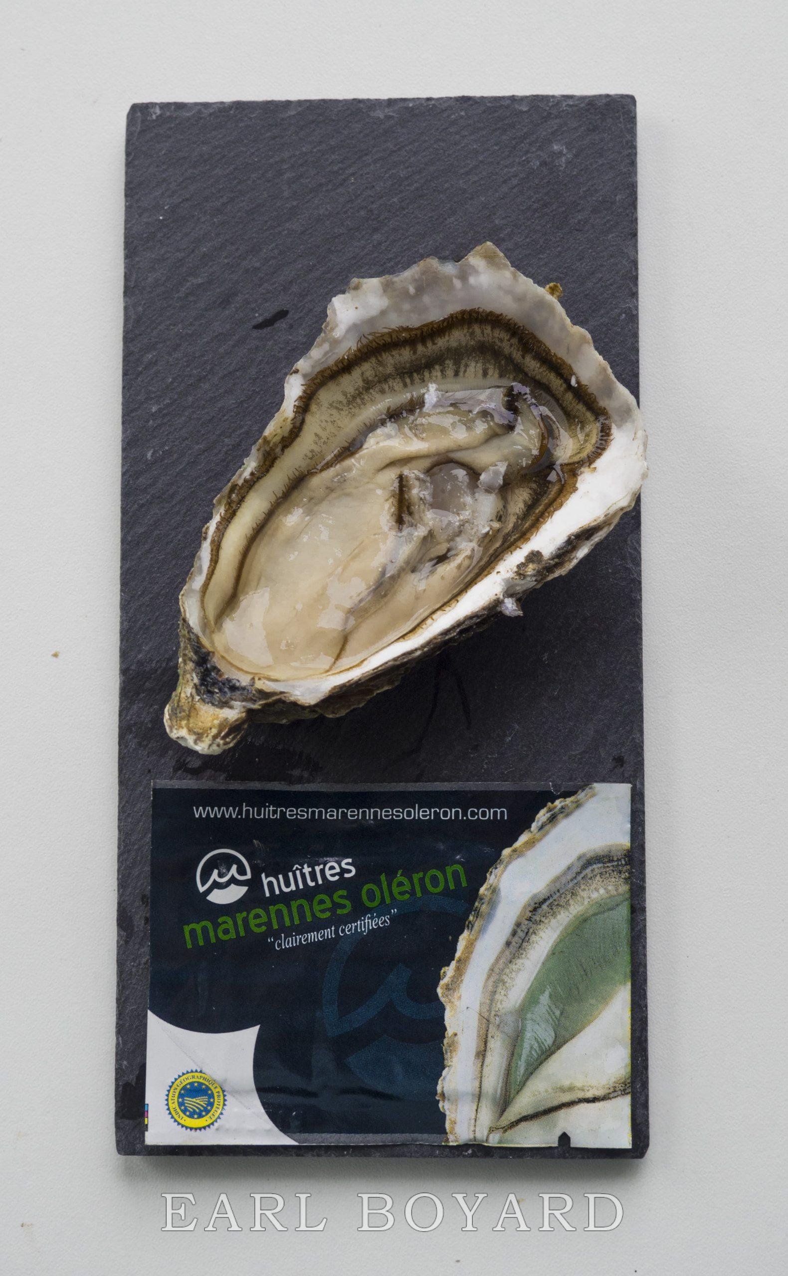 Spéciales de claires – Image 3